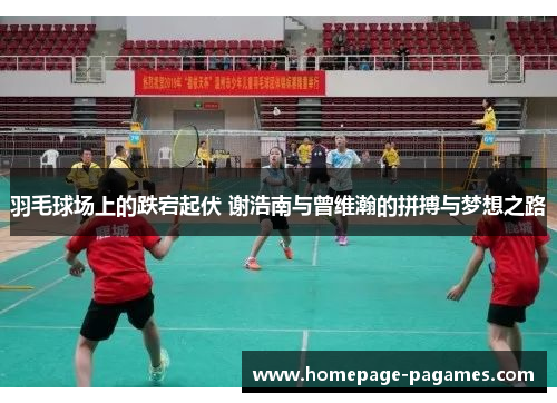 羽毛球场上的跌宕起伏 谢浩南与曾维瀚的拼搏与梦想之路