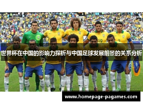世界杯在中国的影响力探析与中国足球发展前景的关系分析