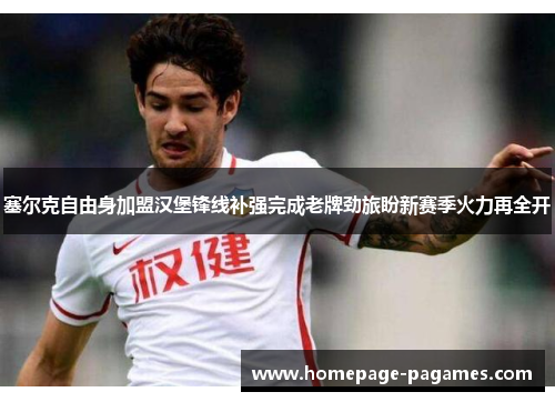 塞尔克自由身加盟汉堡锋线补强完成老牌劲旅盼新赛季火力再全开