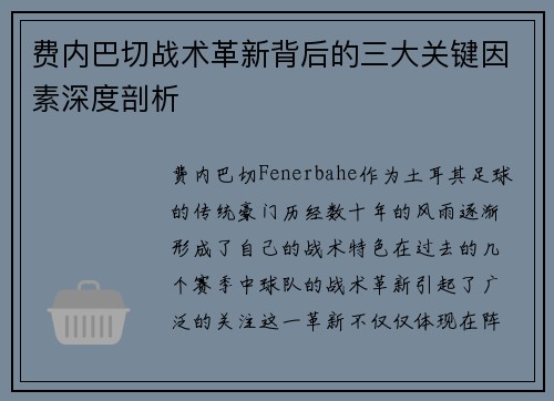 费内巴切战术革新背后的三大关键因素深度剖析 费内巴切战术革新背后的三大关键因素深度剖析