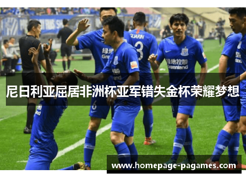 尼日利亚屈居非洲杯亚军错失金杯荣耀梦想 尼日利亚屈居非洲杯亚军错失金杯荣耀梦想