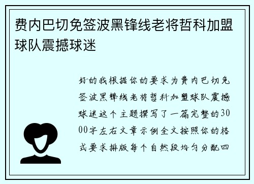 费内巴切免签波黑锋线老将哲科加盟球队震撼球迷 费内巴切免签波黑锋线老将哲科加盟球队震撼球迷